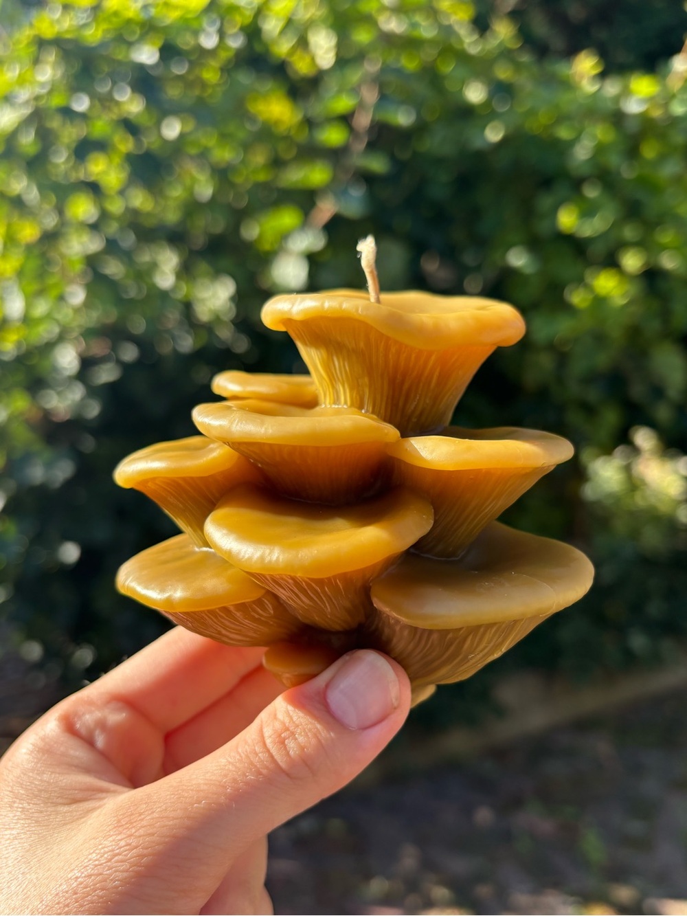 100% Beeswax Non-Toxic “Oyster Mushroom” Handmade Candle